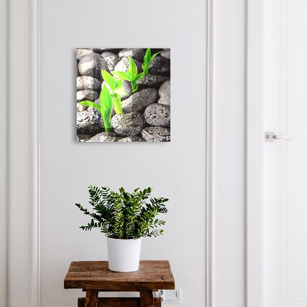 Key cabinet for wall Green nature