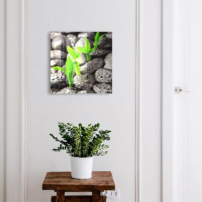 Key cabinet for wall Green nature