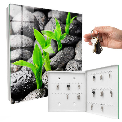Key cabinet for wall Green nature