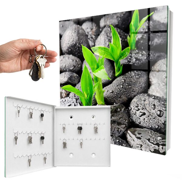 Key cabinet for wall Green nature