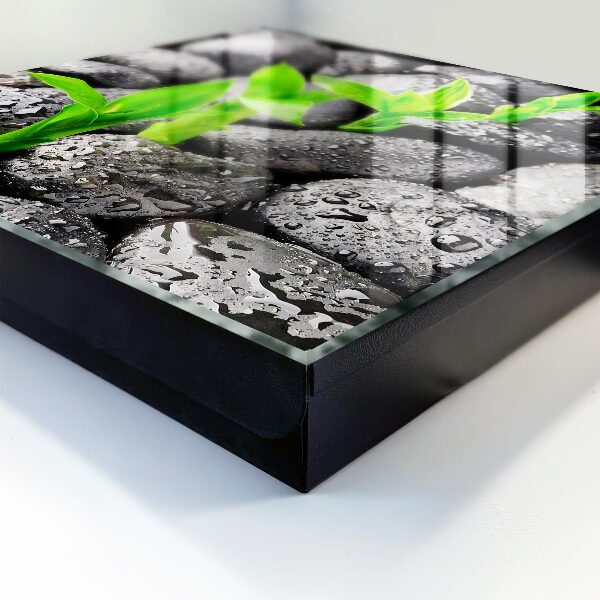 Key cabinet for wall Green nature