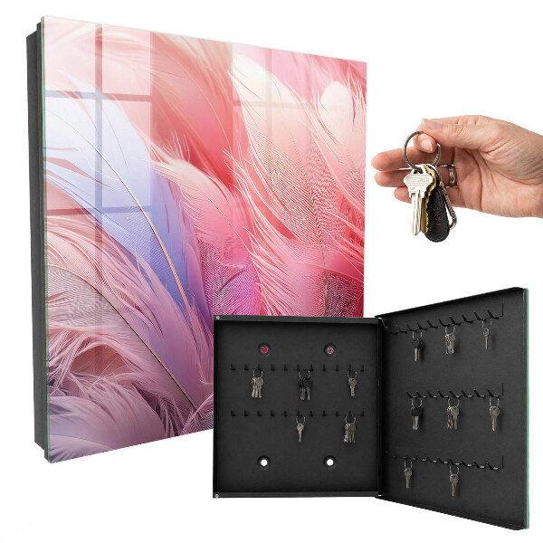 Key box Beautiful pink feathers