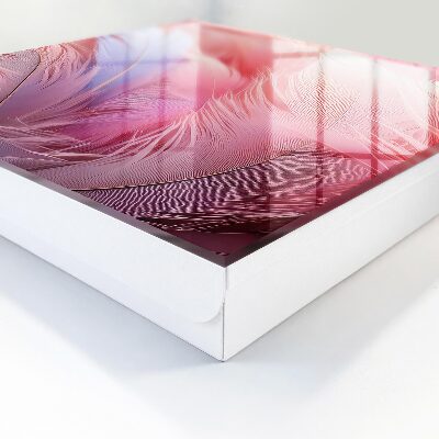 Key box Beautiful pink feathers