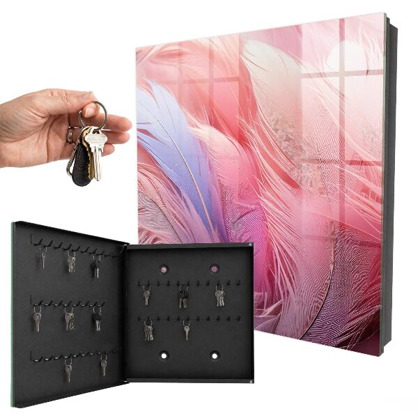 Key box Beautiful pink feathers