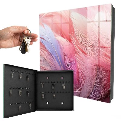 Key box Beautiful pink feathers