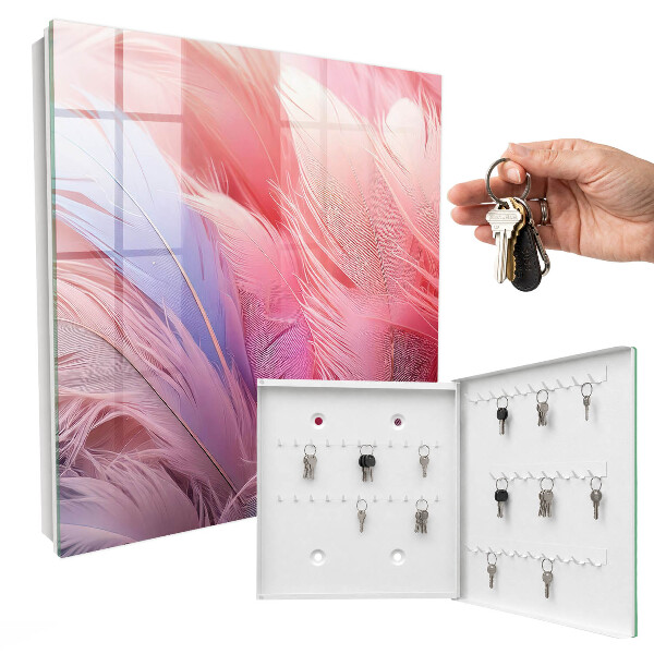 Key box Beautiful pink feathers