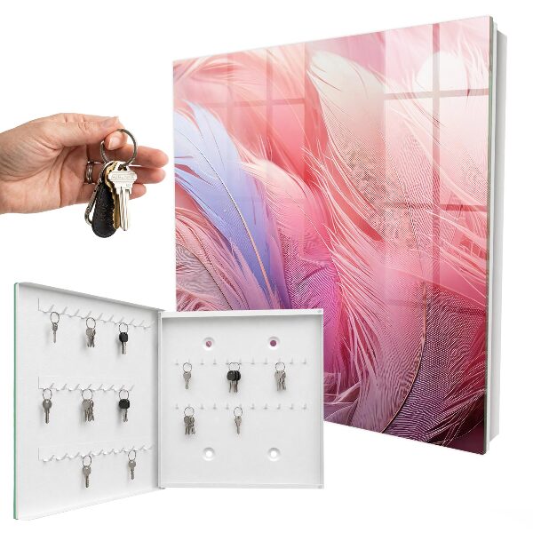 Key box Beautiful pink feathers