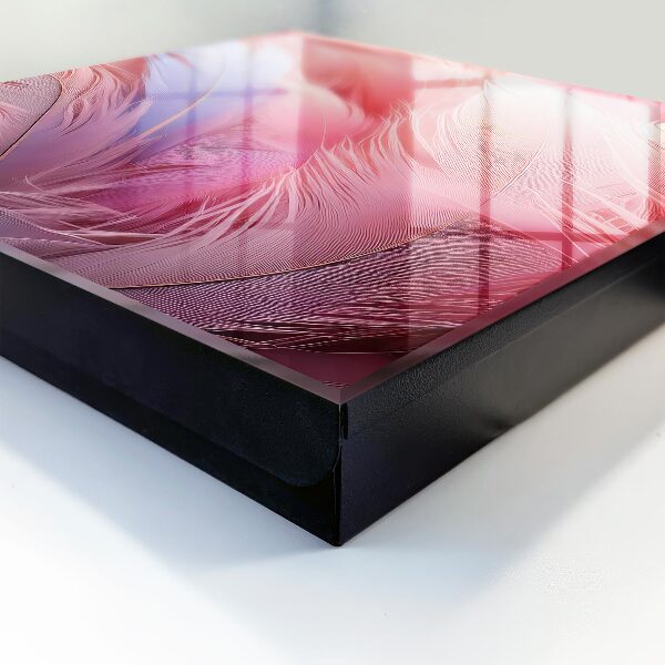 Key box Beautiful pink feathers