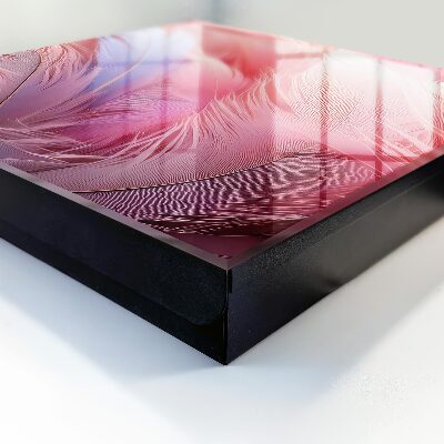 Key box Beautiful pink feathers