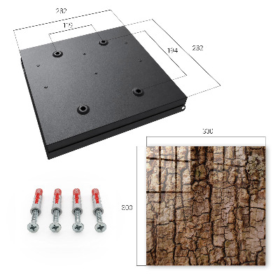 Key box Tree bark