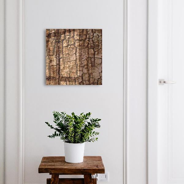 Key box Tree bark