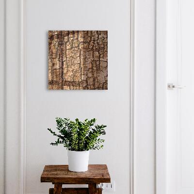 Key box Tree bark
