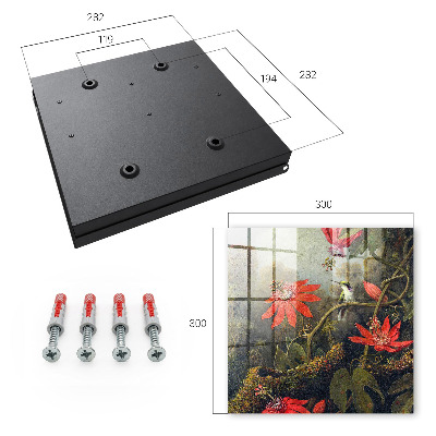 Key box Exotic nature