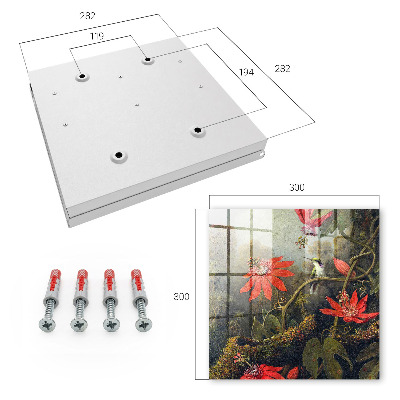 Key box Exotic nature