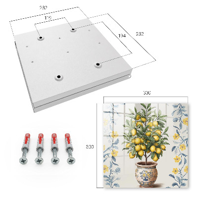 Key box Lemon tree