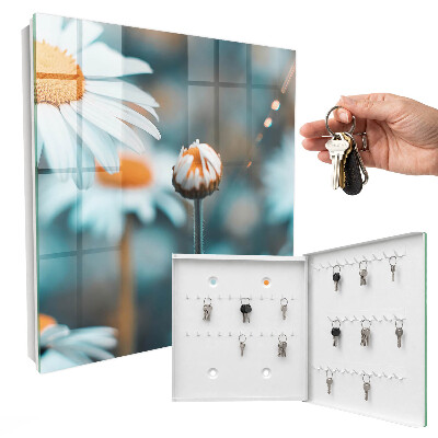 Key storage box Floral lightness