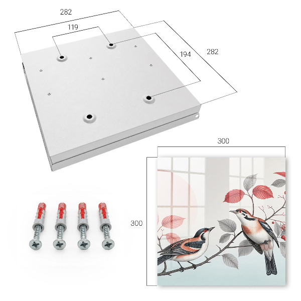 Key cabinet for wall Birds nature
