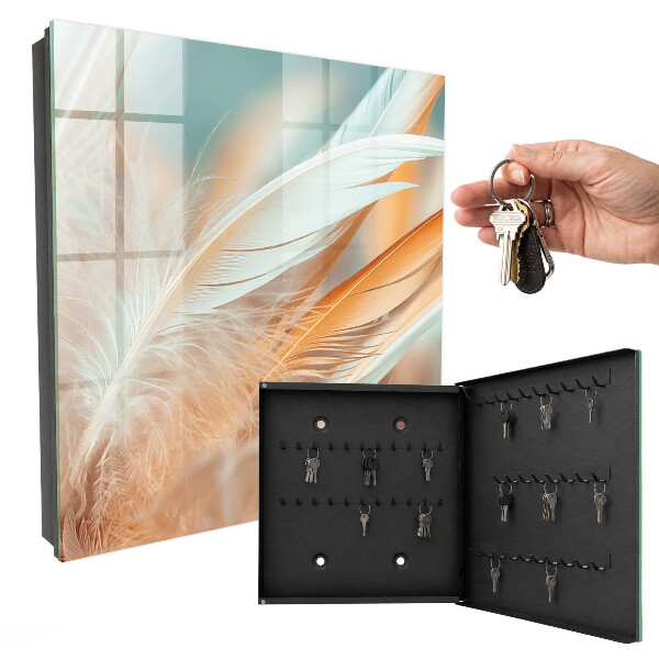 Key storage box Pastel feathers