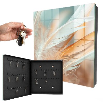 Key storage box Pastel feathers