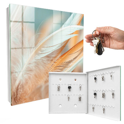 Key storage box Pastel feathers
