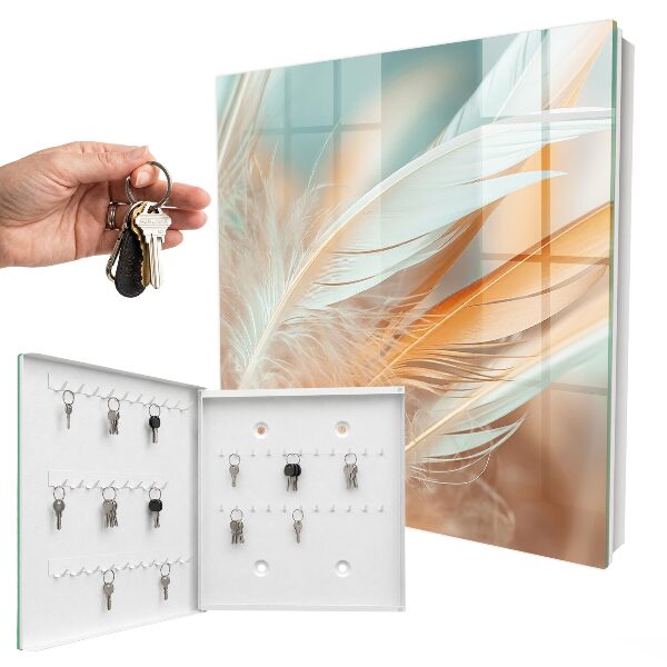 Key storage box Pastel feathers