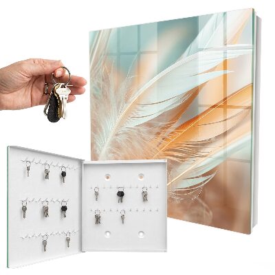 Key storage box Pastel feathers