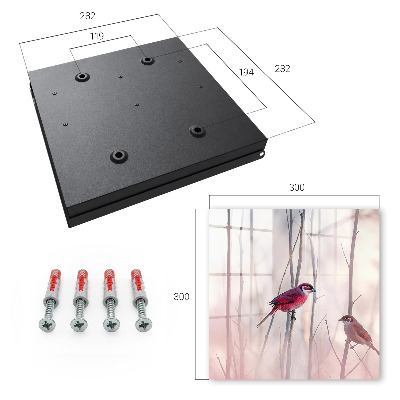 Key cabinet for wall Two birds