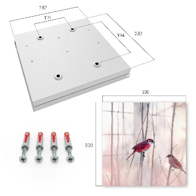 Key cabinet for wall Two birds