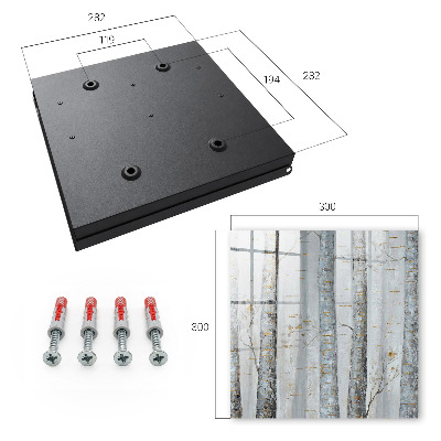 Key cabinet for wall Birch nature