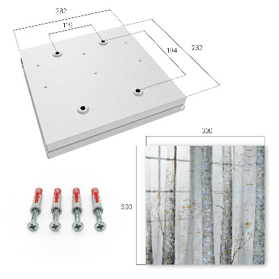 Key cabinet for wall Birch nature