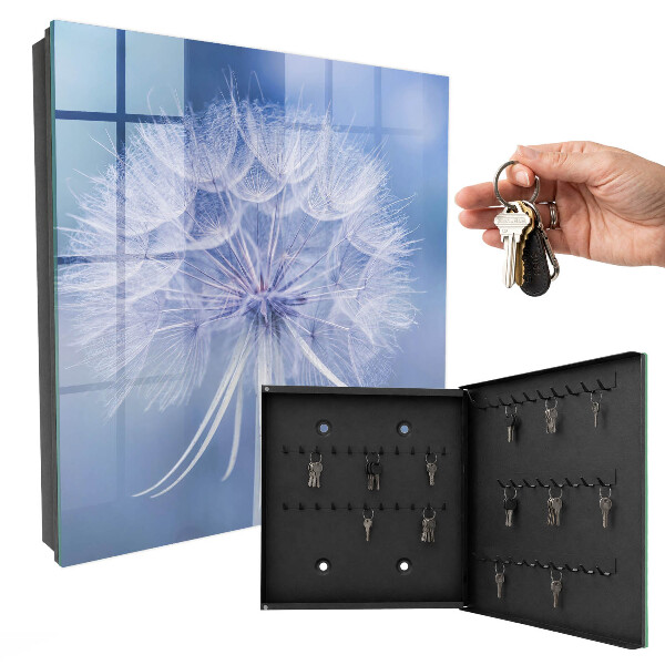 Key box Delicate dandelion