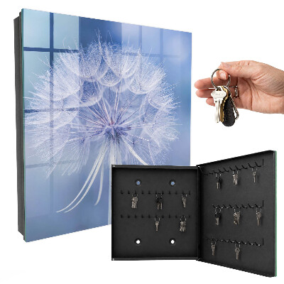 Key box Delicate dandelion
