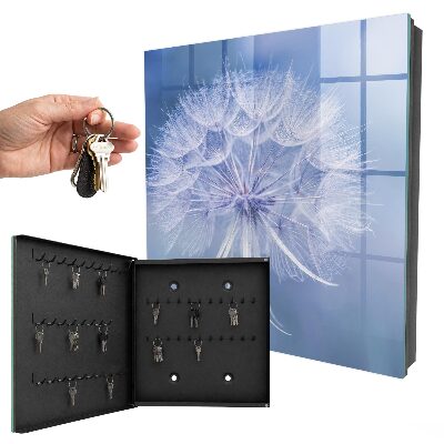 Key box Delicate dandelion