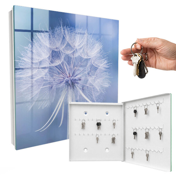 Key box Delicate dandelion