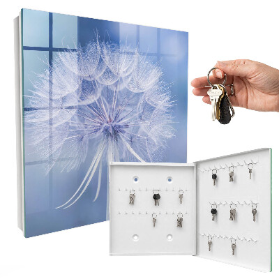 Key box Delicate dandelion