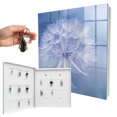 Key box Delicate dandelion