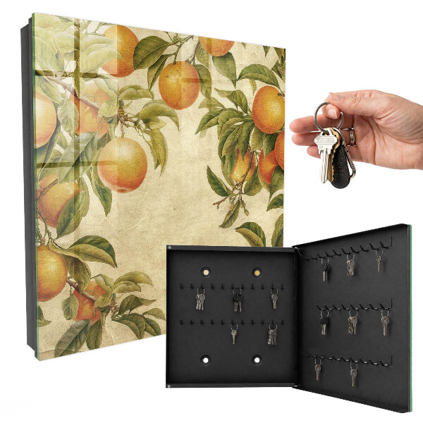 Key box Oranges and nature