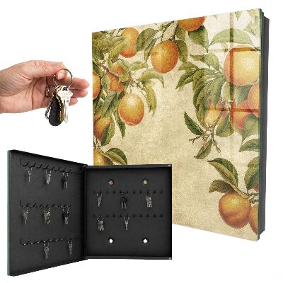 Key box Oranges and nature