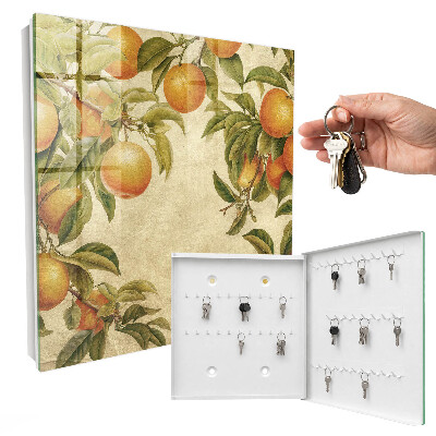 Key box Oranges and nature