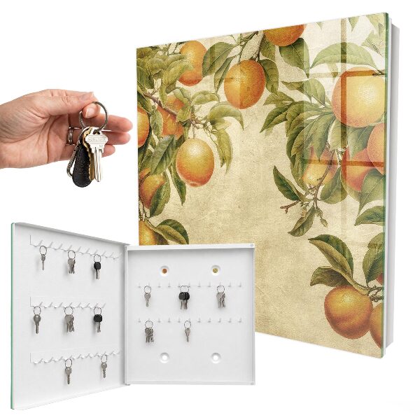 Key box Oranges and nature