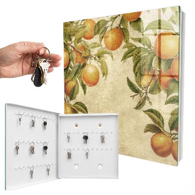 Key box Oranges and nature