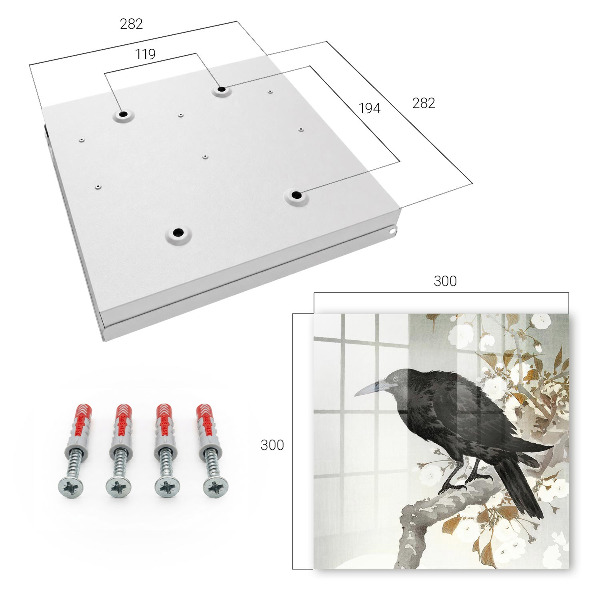 Key storage box Black Raven