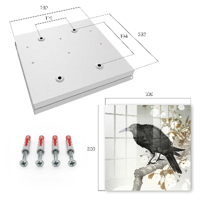 Key storage box Black Raven