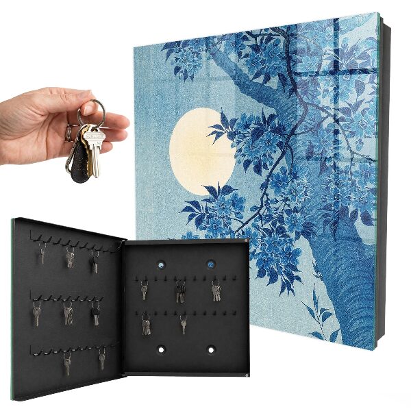 Key box Moonlit night