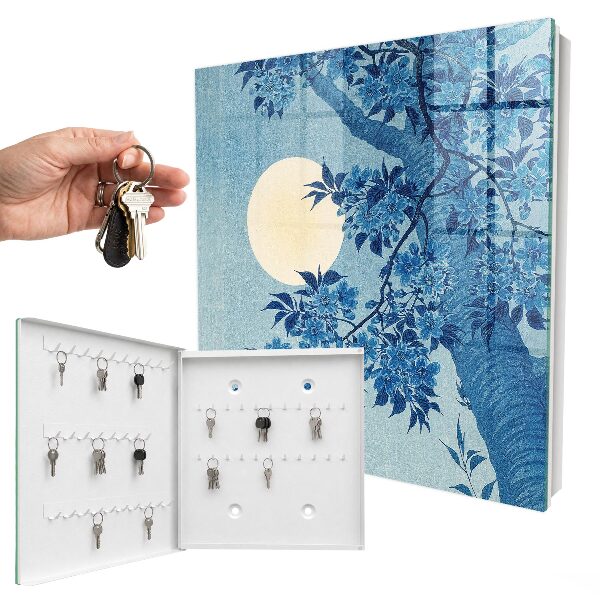 Key box Moonlit night