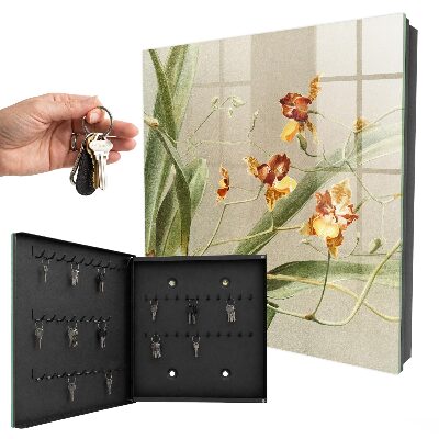 Key box Climbing flowers