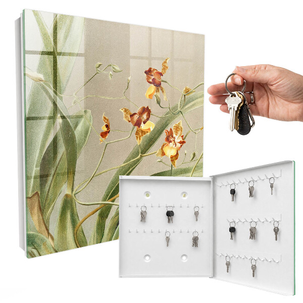Key box Climbing flowers