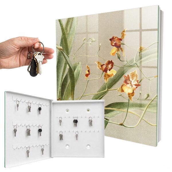Key box Climbing flowers