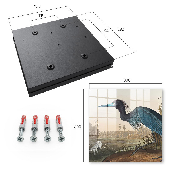Key storage box Exotic bird