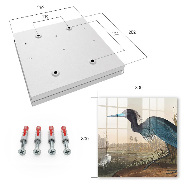 Key storage box Exotic bird